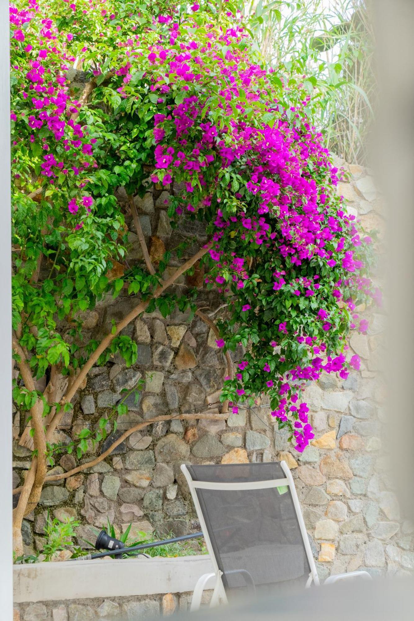Villa Acacia Ponza Ngoại thất bức ảnh