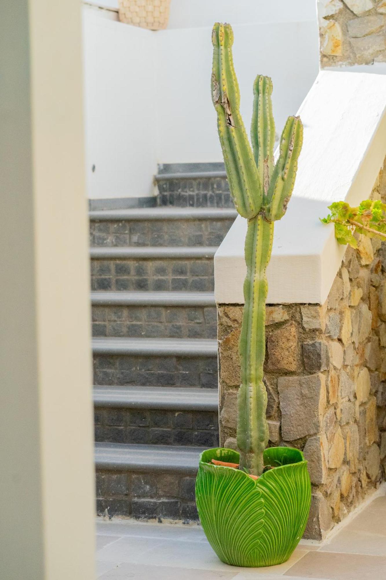 Villa Acacia Ponza Ngoại thất bức ảnh