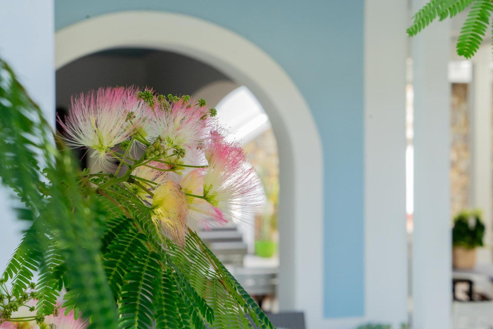 Villa Acacia Ponza Ngoại thất bức ảnh